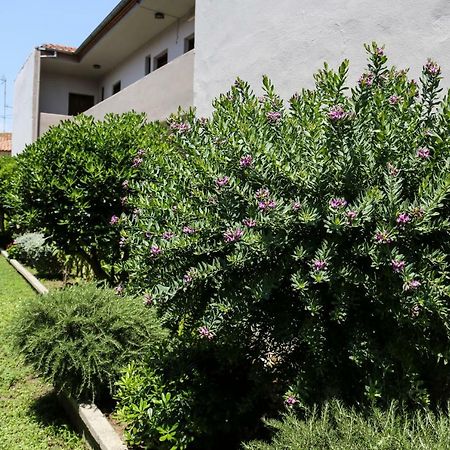Yannis Apartments Afytos Esterno foto